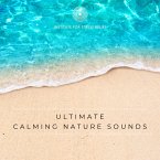 Ultimate Calming Nature Sounds With Calming Music For Hypnosis, Meditation, Energy Work, Deep Sleep (MP3-Download)