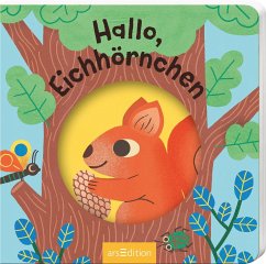 Cover Hallo, Eichhörnchen
