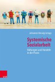 Systemische Sozialarbeit