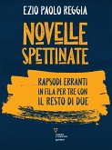 Novelle spettinate. Rapsodi erranti in fila per tre con il resto di due (eBook, ePUB)