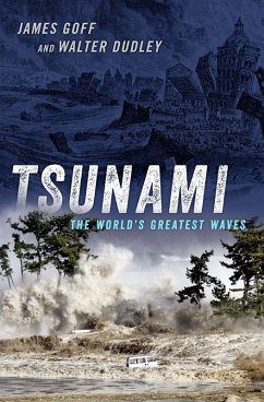 Cover Tsunami (eBook, ePUB)
