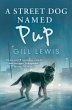 A Street Dog Named Pup (eBook, ePUB) - Bild 1
