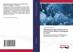 Geoquímica del Arsénico en la Zona Crítica Minera Cartagena - la Unión - Martínez López, Salvadora