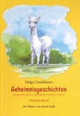 Geheimnisgeschichten