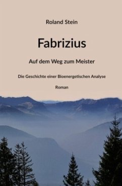 Fabrizius - Auf dem Weg zum Meister - Stein, Roland