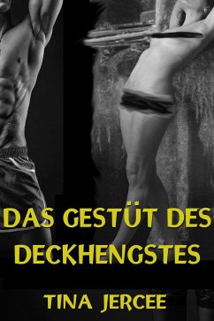 Das Gestüt des Deckhengstes (eBook, ePUB) - Jercee, Tina