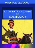 La Vie extravagante de Balthazar (eBook, ePUB)