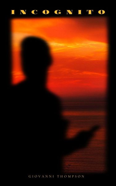 Incognito (eBook, ePUB) Incognito (eBook, ePUB)