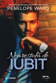 N-are stofă de iubit (eBook, ePUB)