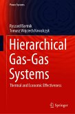 Hierarchical Gas-Gas Systems (eBook, PDF)