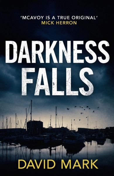 Darkness Falls (eBook, ePUB)