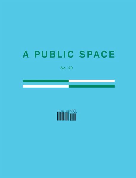 A Public Space No. 30 (eBook, ePUB)