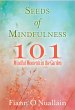 Seeds of Mindfulness (eBook, ePUB) - Bild 1