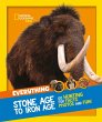 NG EVERYTHING STONE AGE PB - Bild 1