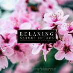 Ultimate Relaxing Nature Sounds with Relaxing Music for Meditation, Study, Mindfulness & Deep Sleep (MP3-Download)