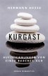 Kurgast (eBook, ePUB) - Bild 1