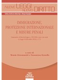 Immigrazione, protezione internazionale e misure penali (eBook, ePUB)