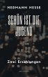 Schön ist die Jugend (eBook, ePUB) - Bild 1
