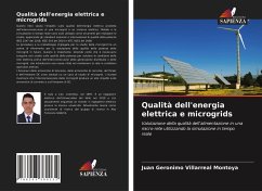 Qualità dell'energia elettrica e microgrids - Villarreal Montoya, Juan Geronimo