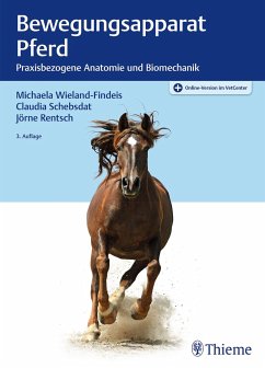Bewegungsapparat Pferd - Wieland, Michaela;Schebsdat, Claudia;Rentsch, Jörne