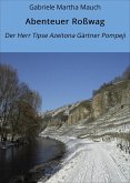 Abenteuer Roßwag (eBook, ePUB)