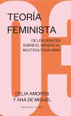 Teoría feminista 3: De los debates sobre el género al multiculturalismo (eBook, ePUB)