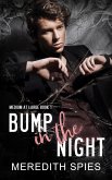 Bump in the Night (Medium at Large, #1) (eBook, ePUB)