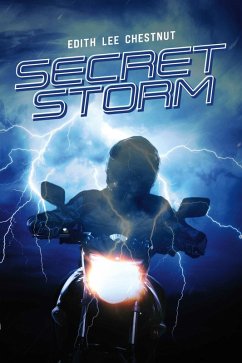Cover Secret Storm (eBook, ePUB)