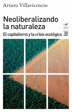 Neoliberalizando la naturaleza (eBook, ePUB) - Villavicencio, Arturo