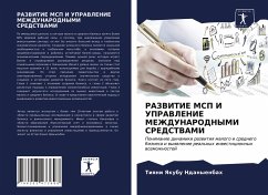 RAZVITIE MSP I UPRAVLENIE MEZhDUNARODNYMI SREDSTVAMI - Ndanyenbah, Tiqni Yakubu