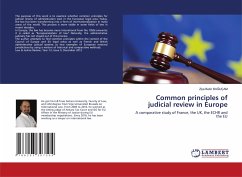 Common principles of judicial review in Europe