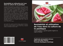 Rentabilité et utilisation de l'eau dans la culture de la pastèque - Armendáriz Erives, Sigifredo;Ríos Flores, José Luis;Rodríguez Santiago, Yesenia