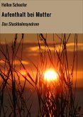 Aufenthalt bei Mutter (eBook, ePUB)