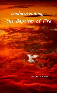 Understanding the Baptism of Fire (eBook, ePUB) - Evans, D. D.