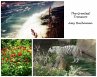 The Greatest Treasure (eBook, ePUB) - Bild 1