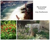 The Greatest Treasure (eBook, ePUB)
