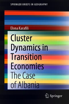 Cluster Dynamics in Transition Economies (eBook, PDF) - Karafili, Elona