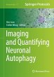 Imaging and Quantifying Neuronal... - Bild 1