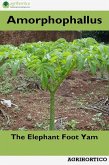 Amorphophallus: The Elephant Foot Yam (eBook, ePUB) Amorphophallus: The Elephant Foot Yam (eBook, ePUB)