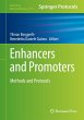 Enhancers and Promoters - Bild 1