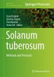 Solanum tuberosum - Bild 1