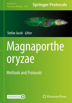 Magnaporthe oryzae