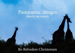 Panoramic images (eBook, ePUB)