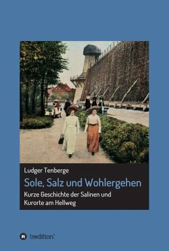Sole, Salz und Wohlergehen (eBook, ePUB) - Tenberge, Ludger