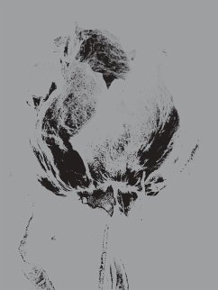 Der Rosenkavalier (eBook, ePUB)