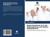 Hypervitaminose A in der Organogenese und fetalen Morphometrie.