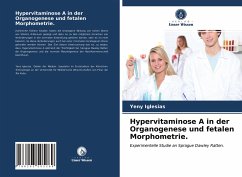 Cover Hypervitaminose A in der Organogenese und fetalen Morphometrie.