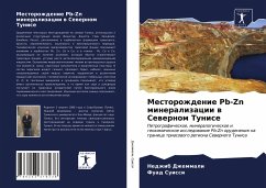 Mestorozhdenie Pb-Zn mineralizacii w Sewernom Tunise - Dzhemmali, Nedzhib;Suissi, Fuad