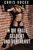 In die Falle gelockt und versklavt (eBook, ePUB)