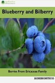 Blueberry and Bilberry: Berries From Ericaceae Family (eBook, ePUB)